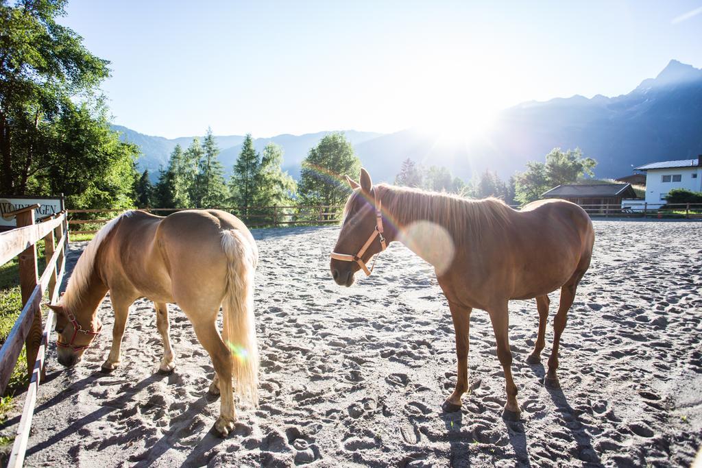 Ferienwohnungen Oetztal ساوتينس المظهر الخارجي الصورة