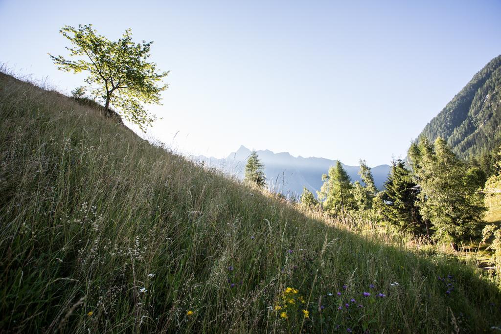 Ferienwohnungen Oetztal ساوتينس المظهر الخارجي الصورة